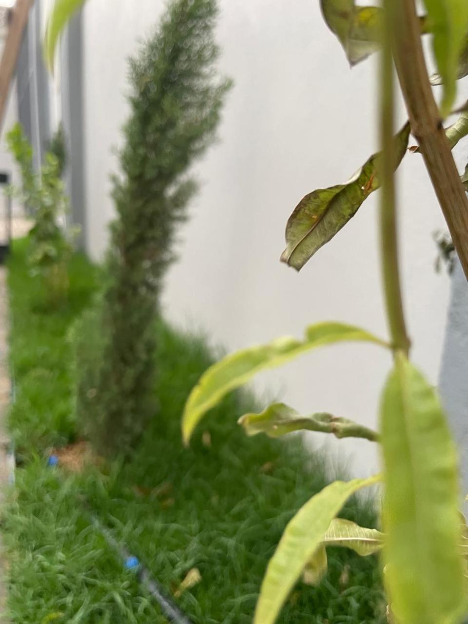 Garden Land Aparthotel Khamis Mushait Εξωτερικό φωτογραφία